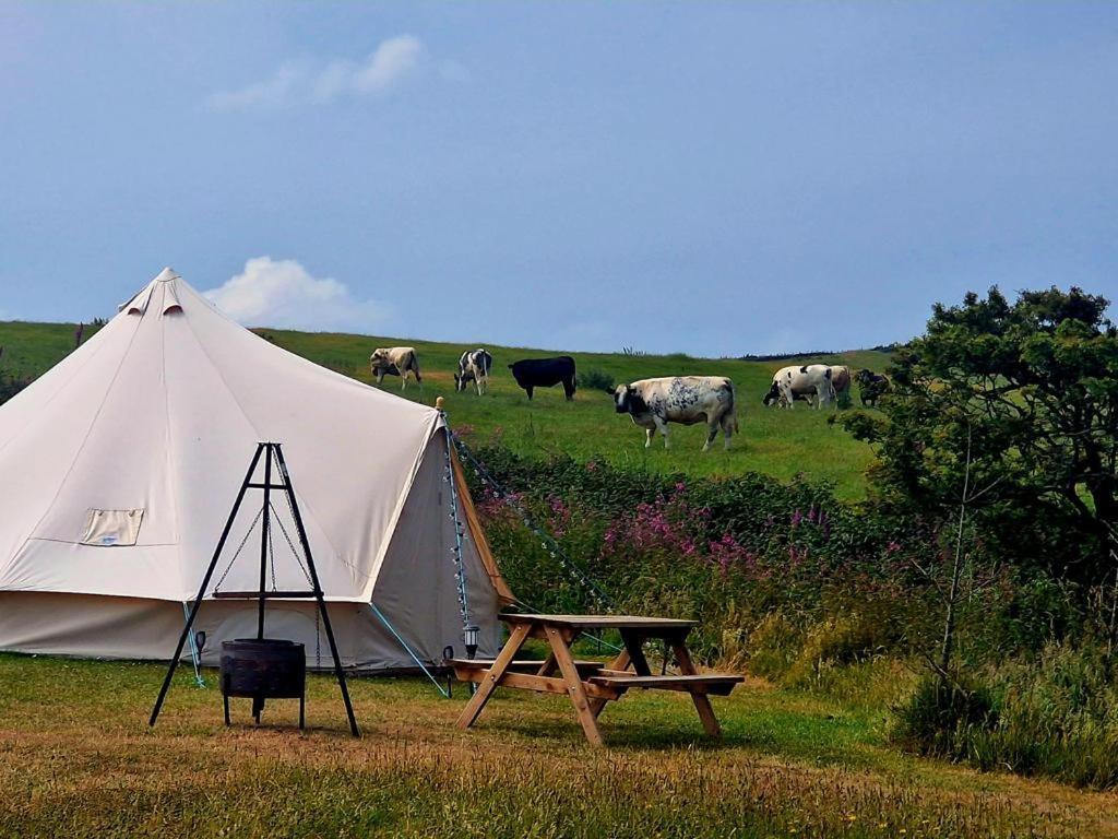 Beautiful 1-Bed Bell Tent In Holyhead Exterior foto